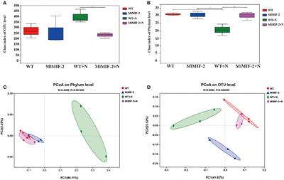 A root-knot nematode effector manipulates the rhizosphere microbiome for establishing parasitism relationship with hosts